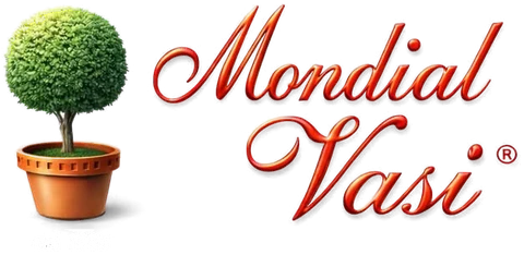 Mondial Vasi