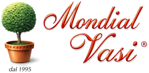Mondial Vasi, dal 1995