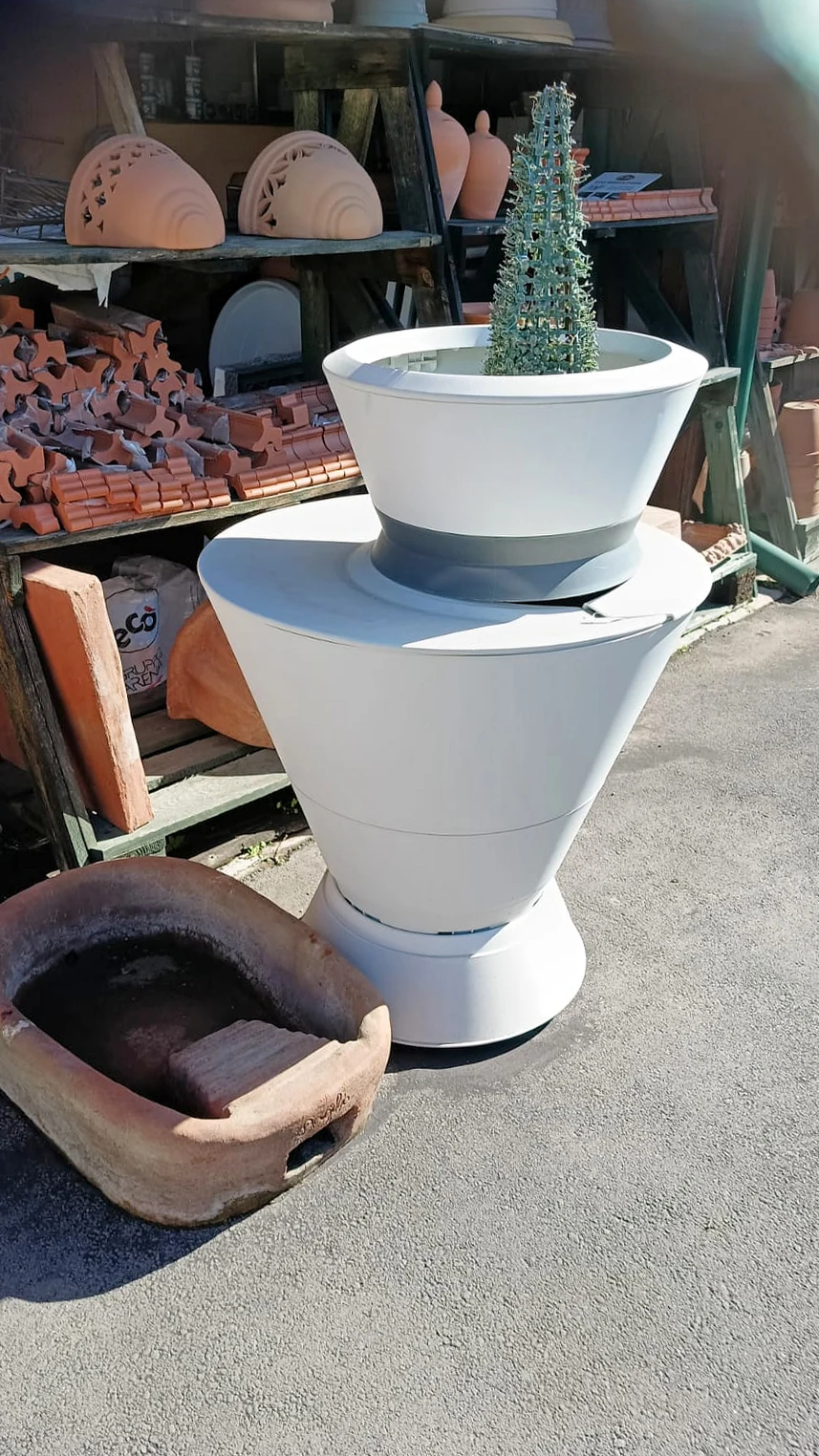 Un vaso bianco moderno in resina, con una pianta grassa